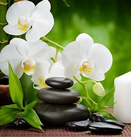Spa Serenity